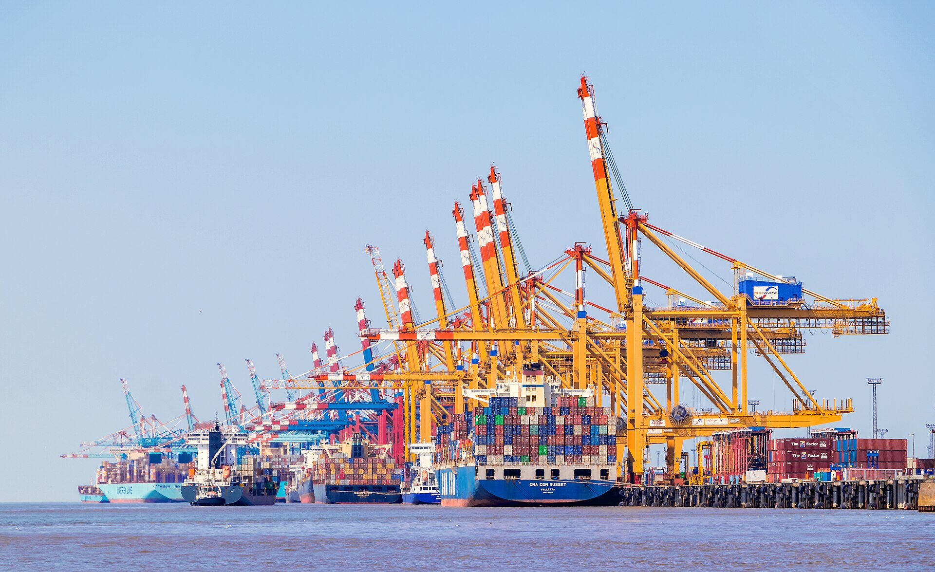 Container terminal with rows of gantry cranes