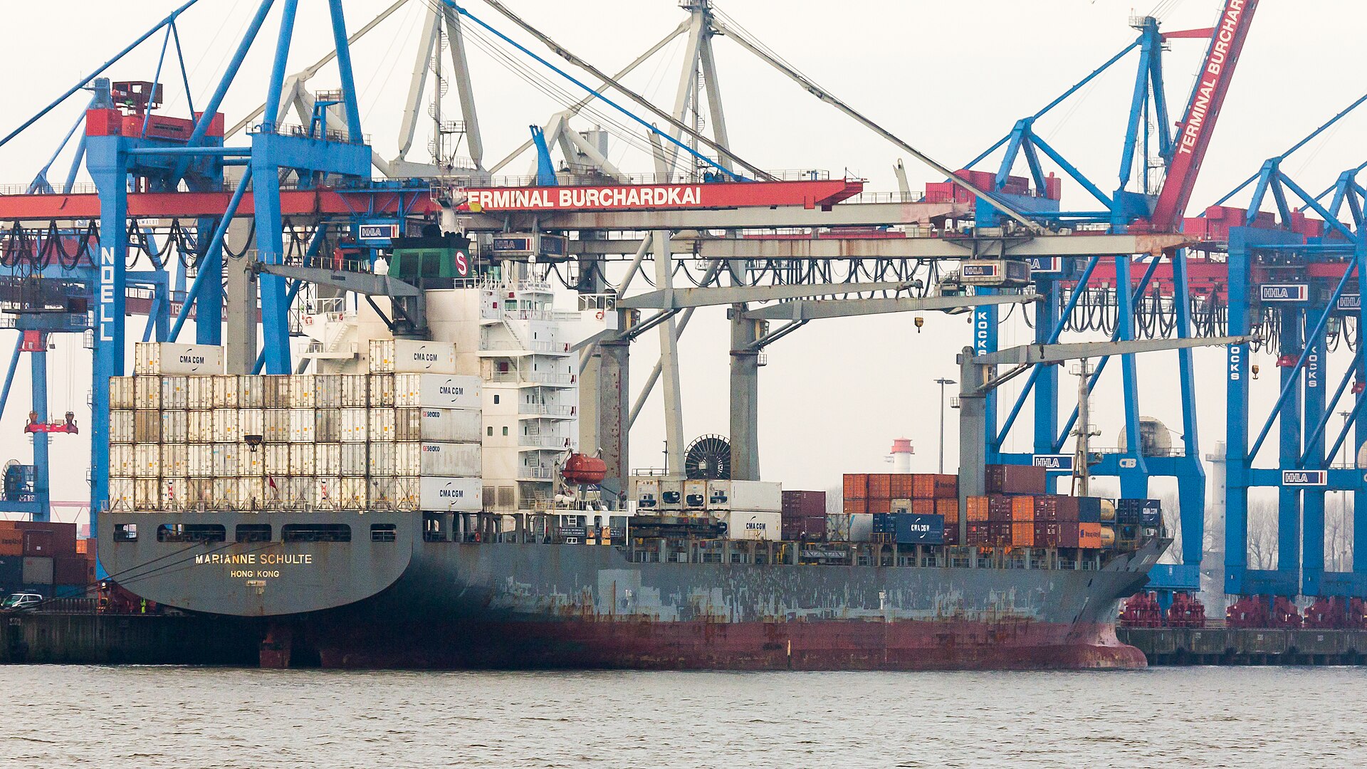 Container ship berthed under cranes at a container terminal